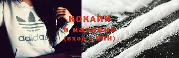 ГАЛЛЮЦИНОГЕННЫЕ ГРИБЫ Алзамай