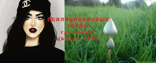 твердый Алексеевка