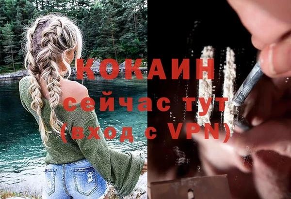 твердый Алексеевка