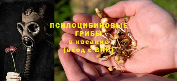 ГАЛЛЮЦИНОГЕННЫЕ ГРИБЫ Алзамай