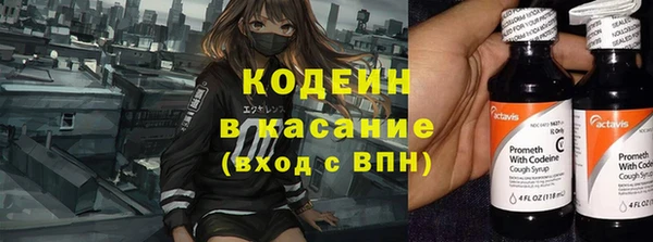 ГАЛЛЮЦИНОГЕННЫЕ ГРИБЫ Алзамай