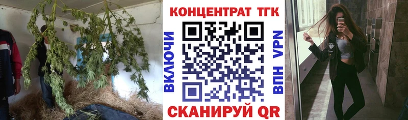 мега как войти  Чехов  Дистиллят ТГК вейп  купить закладку 
