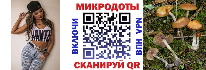 Галлюциногенные грибы Magic Shrooms  blacksprut маркетплейс  Чехов 